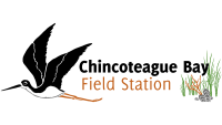 Chincoteague bay field station