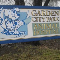 Garden city park animal hospital