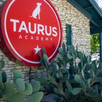 Taurus academy