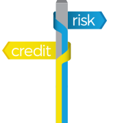 Credit risk solutions