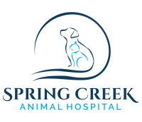 Spring creek animal hospital