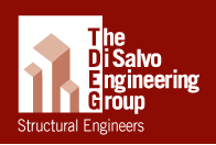 The di salvo engineering group