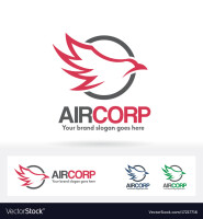Air company limited