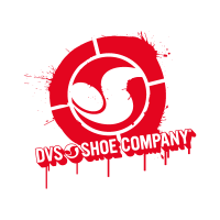 DVS Development Company
