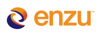 Enzu Inc.