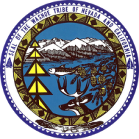 Washoe native tanf program
