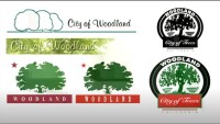 City of woodland hills