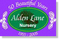 Alden lane nursery