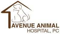 Avenue animal hospital