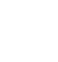 Angel city brewery