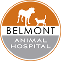 Belmont pet hospital