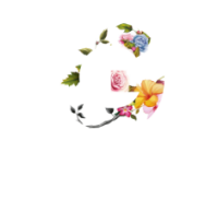 City homes and gardens