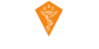Diamond state chiropractic