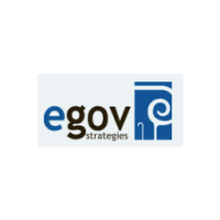 Egov strategies