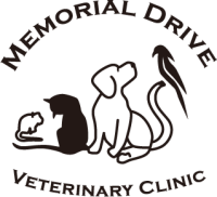 Memorial drive vet clinic