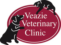 Veazie veterinary clinic