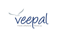 Veepal it services