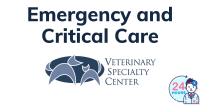 Veterinary emergency service-veterinary specialty center