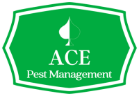 Ace pest management