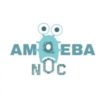 Amoeba networks