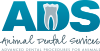 Animal dental services