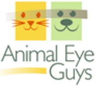 Animal eye guys