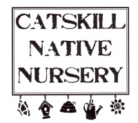 Catskill native nursery