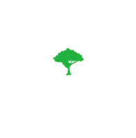 Tree4ort Studios