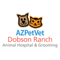 Dobson ranch animal hospital