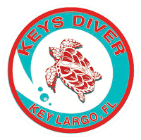 Key dives