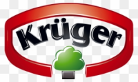 K.g.kruger consulting