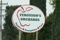 Ferguson’s OrchardsFerguson's