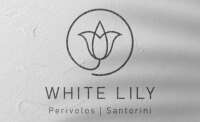 White lily redesigns inc.