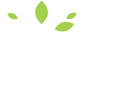 Byron community wellness foundation