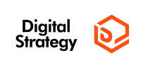 Digital strategy technologies inc