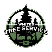 Whites tree service