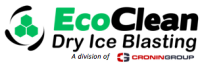 Ecoclean dry ice blasting