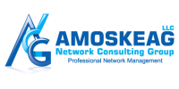 Amoskeag network consulting group llc