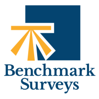 Benchmark surveys ltd