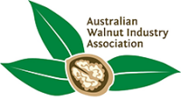 Walnuts australia
