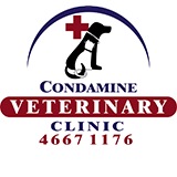 Condamine veterinary clinic