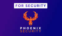 Pheonix security and technology llc