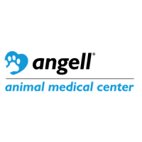 Massachusetts veterinary referral hospital