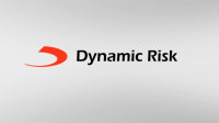 Dynamic risk assessment systems, inc.