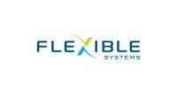 Flexible picture systems, inc.