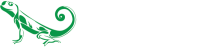 Soundlizzard productions