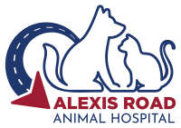 Alexis animal clinic