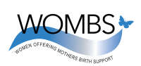 Wombs south africa