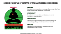 Institute of african american mindfulness