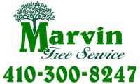 Marvins tree service